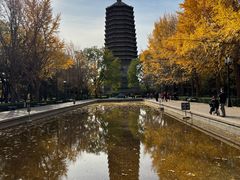 -玲珑塔公园
