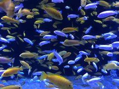 -成都浩海立方海洋公园