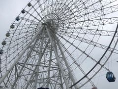 -琴岛之星摩天轮
