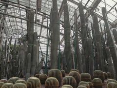 -南山植物园