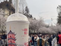 -鸡鸣赐茶(鸡鸣寺路店)