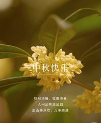 -雅曼妮spa美容养生