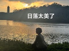 -三水森林公园