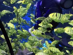 -太平洋海底世界