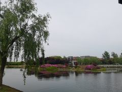 -上海鲜花港