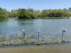 -新江湾城公园