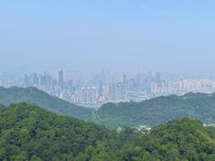 -大金鹰园