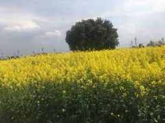 -中国天府农业博览园