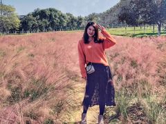 -艾溪湖湿地公园