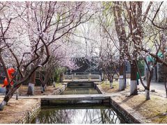 -三里河公园