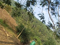-东莞市大岭山森林公园