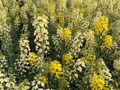 -中国天府农业博览园