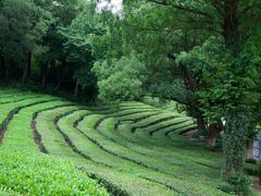 -敬亭山风景名胜区