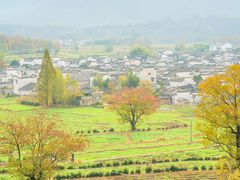 -塔川景区