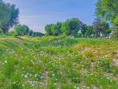 -汉长安城未央宫国家考古遗址公园