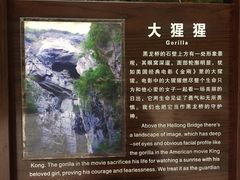 -武隆天坑地缝国家地质公园