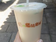 -猫的魔法密林(衣裳街店)