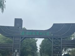 -溱湖国家湿地公园