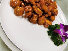 -麻奢鸽农庄·梦里水乡