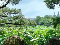 -江心屿景区