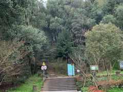 -上海佘山国家森林公园天马山园