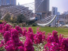 -北外滩滨江绿地