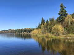 -五营红松林海景区