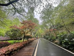 -长谷洞天