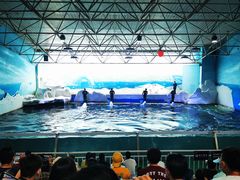 -秦皇岛乐岛海洋王国