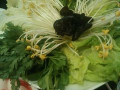 android_upload_pic-蜀九香火锅(九眼桥店)