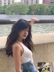 -IDOL-PLUS