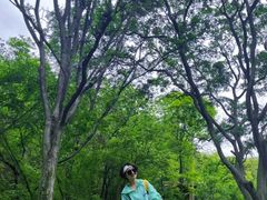 -青龙山国家森林公园