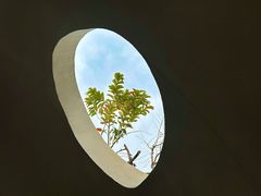 -海珠儿童公园