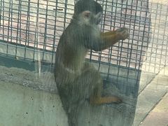 -石家庄市动物园