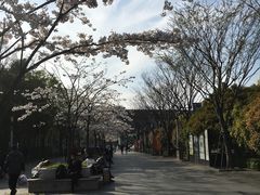 -上海南站