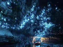 -怀托摩萤火虫洞