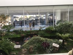 -罗红摄影艺术馆