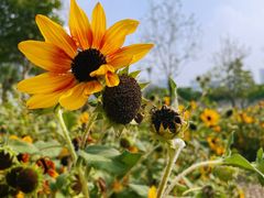 -文华公园(禅城区)