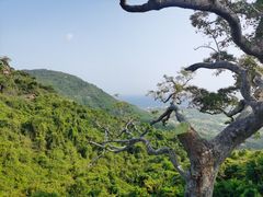 -亚龙湾热带天堂森林公园