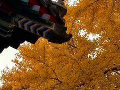 -承恩寺