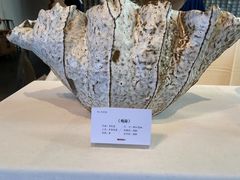 -瓦库茶馆17号(海汇港店)