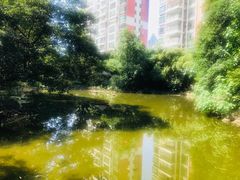 -世纪同乐绿地世纪城二期