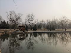 -太阳宫公园