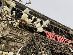 -半坡国际艺术区