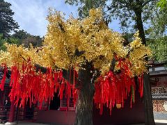 -青岩寺风景区