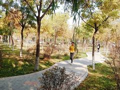 -兰州财经大学(和平校区)
