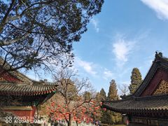 -香山公园