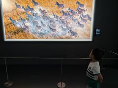 -罗红摄影艺术馆