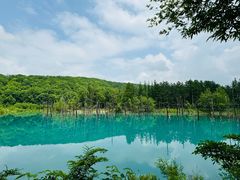 -青池