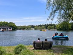 -上海共青森林公园